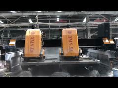 บีแอลเอ็มเอ็ม-1800-2D